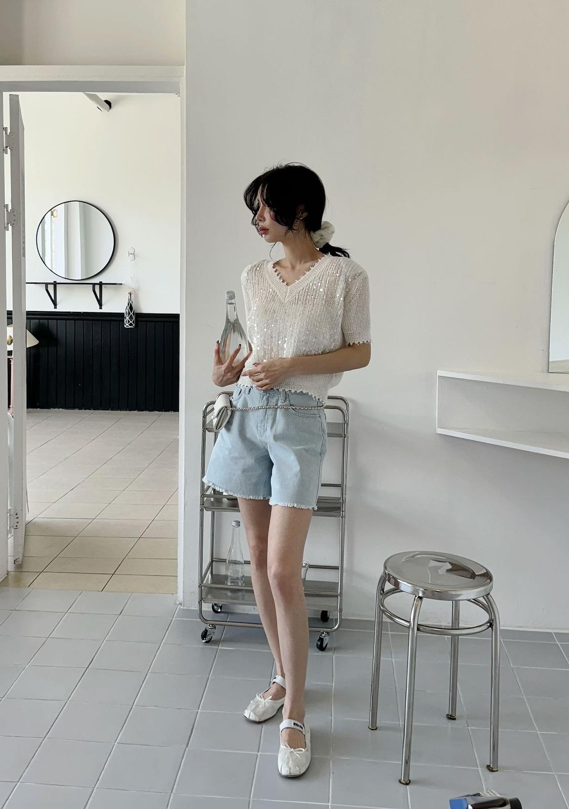 V-neck Short Sleeved Sheer Top