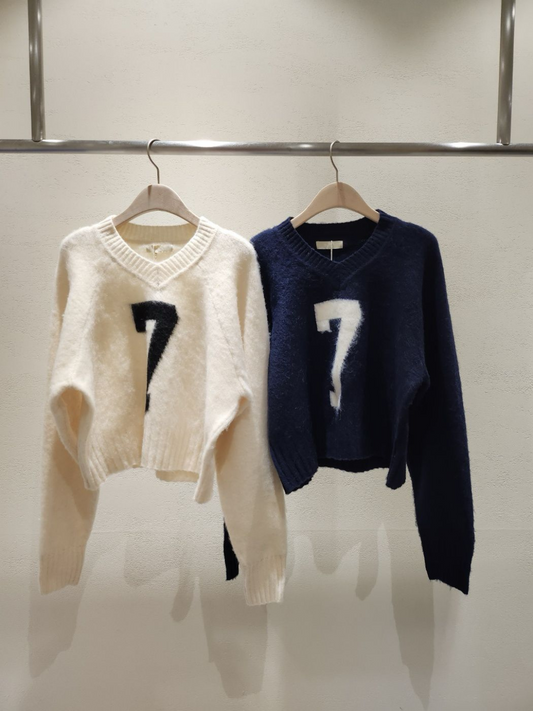 V-Neck Knitted Cropped Sweater *2 Colors