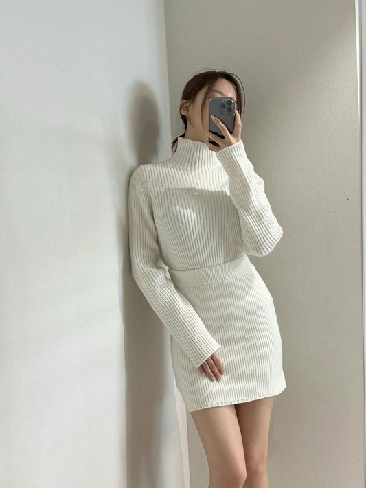 Ribbed Knitted Mockneck Sweater & Skirt Set *2 Colors