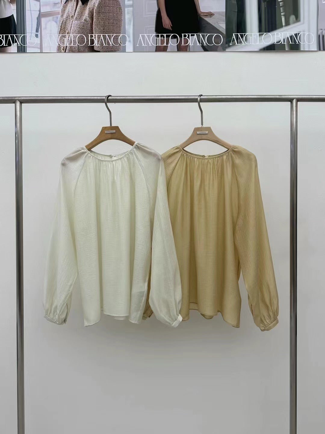 Luxe Sheer Blouse *2 colors